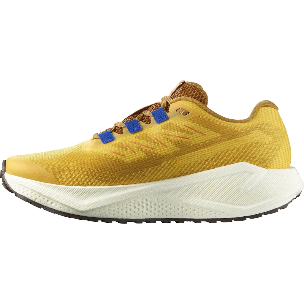 Imagem 2 do produto Tênis de Corrida Masculino Salomon Aero Blaze 3 GRVL