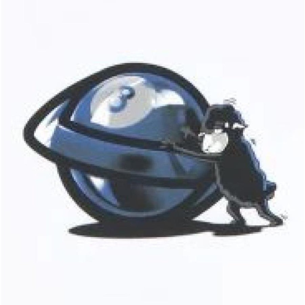 Imagem 2 do produto Camiseta Lost Sheep 8Ball - Masculina