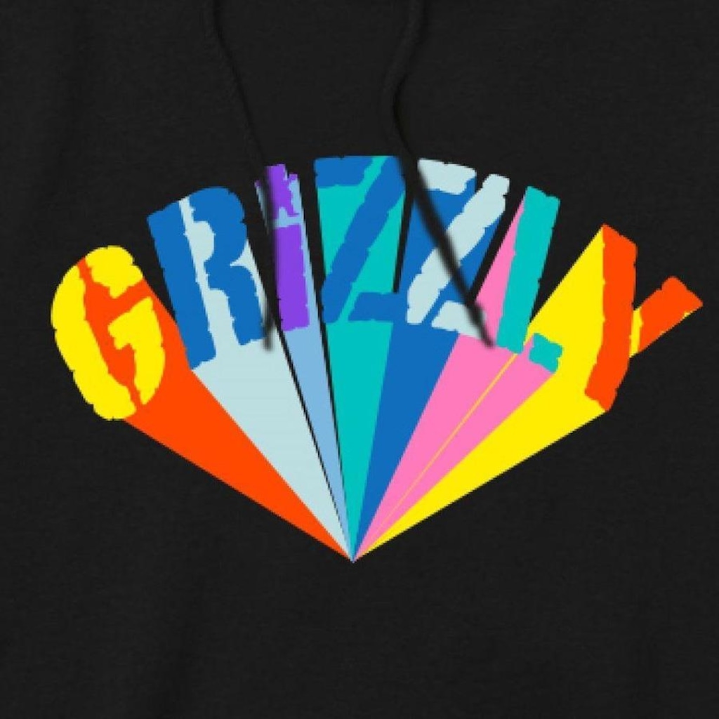 Imagem 2 do produto Blusão de Moletom com Capuz Grizzly Color Whell Hoodie - Masculino