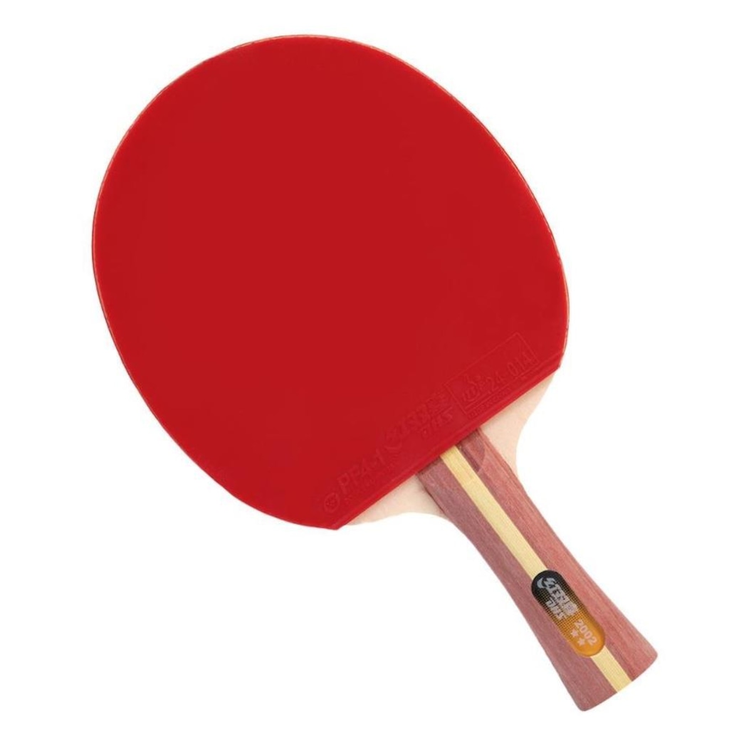 Raquete de Tênis de Mesa DHS Clássica H2002 ITTF Approved 2 Estrelas