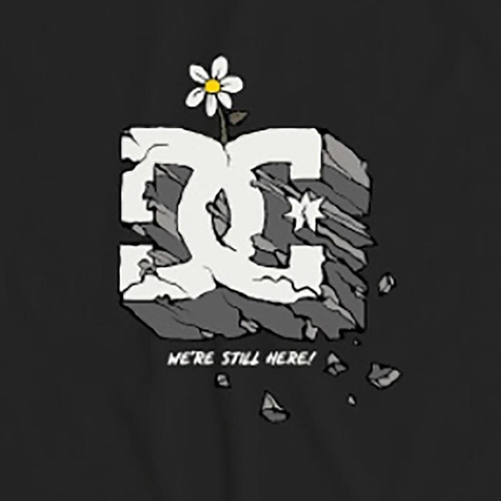 Imagem 2 do produto Camiseta Dc Shoes Still Here - Masculina