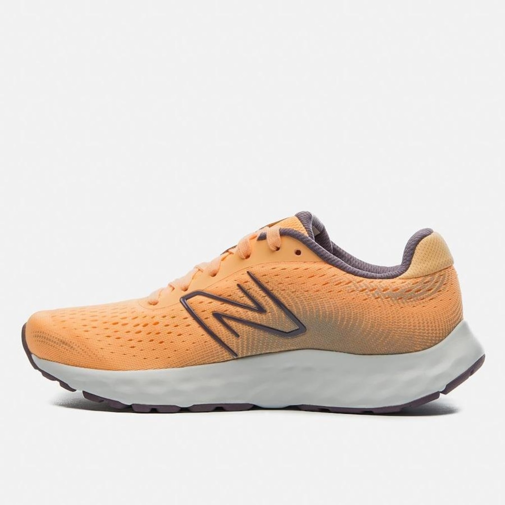 Imagem 2 do produto Tênis New Balance 520V8 Feminino