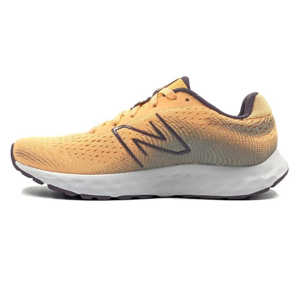 Imagem 2 do produto Tênis New Balance 520V8 - Feminino