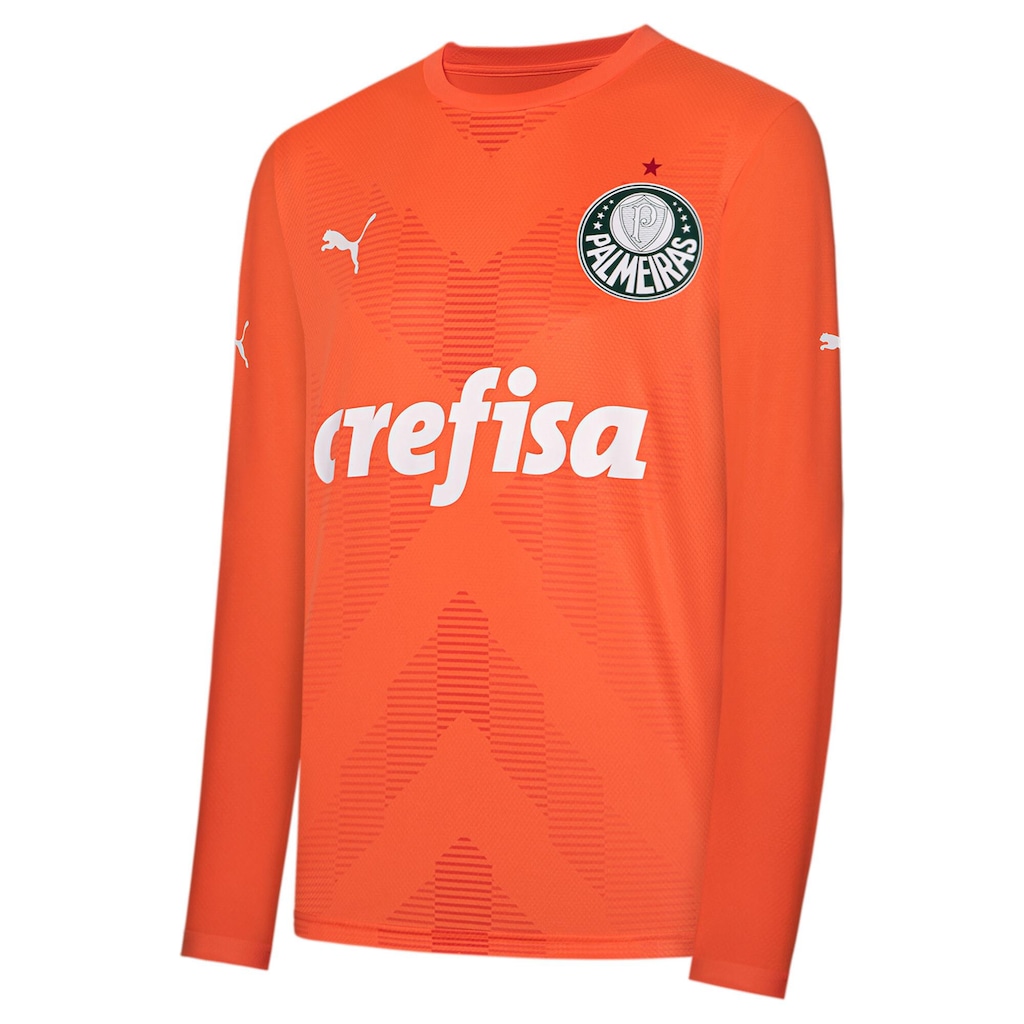 Camisa Manga Longa de Goleiro do Palmeiras Third Torcedor Puma - Masculina