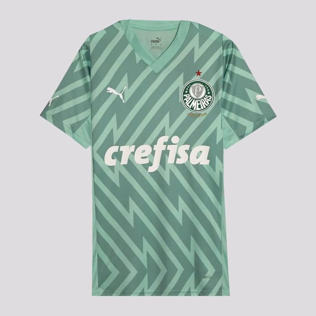 Camisa de Goleiro Puma Palmeiras Goleiro II 2024 - Masculina