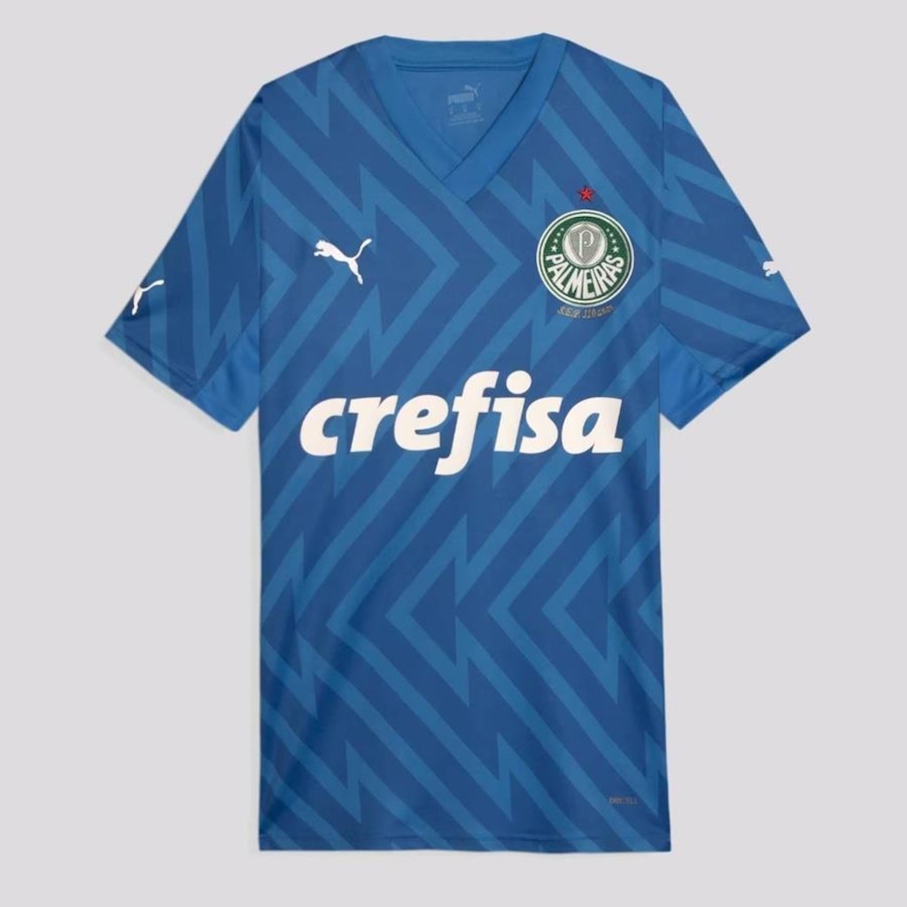 Camisa de Goleiro Puma Palmeiras I 2024 - Masculina