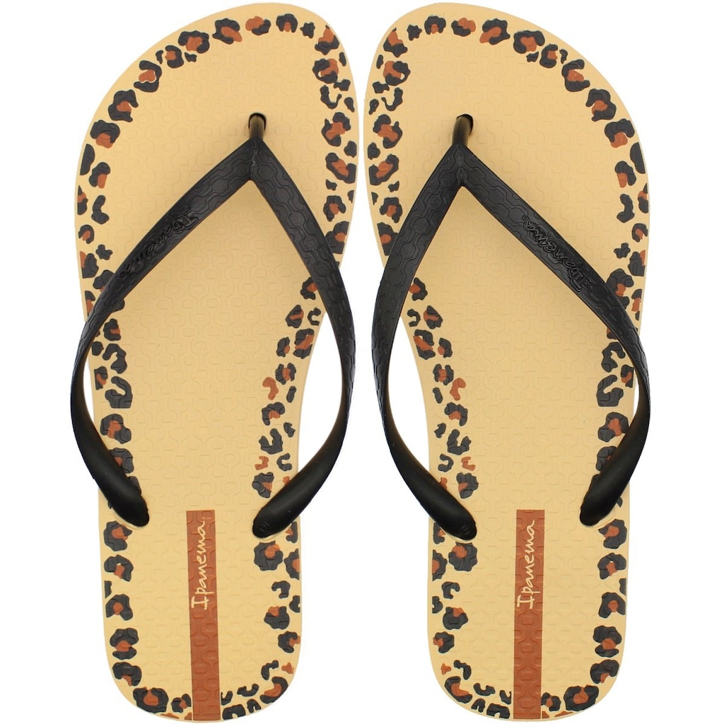 Chinelo de Dedo Ipanema Day - Feminino