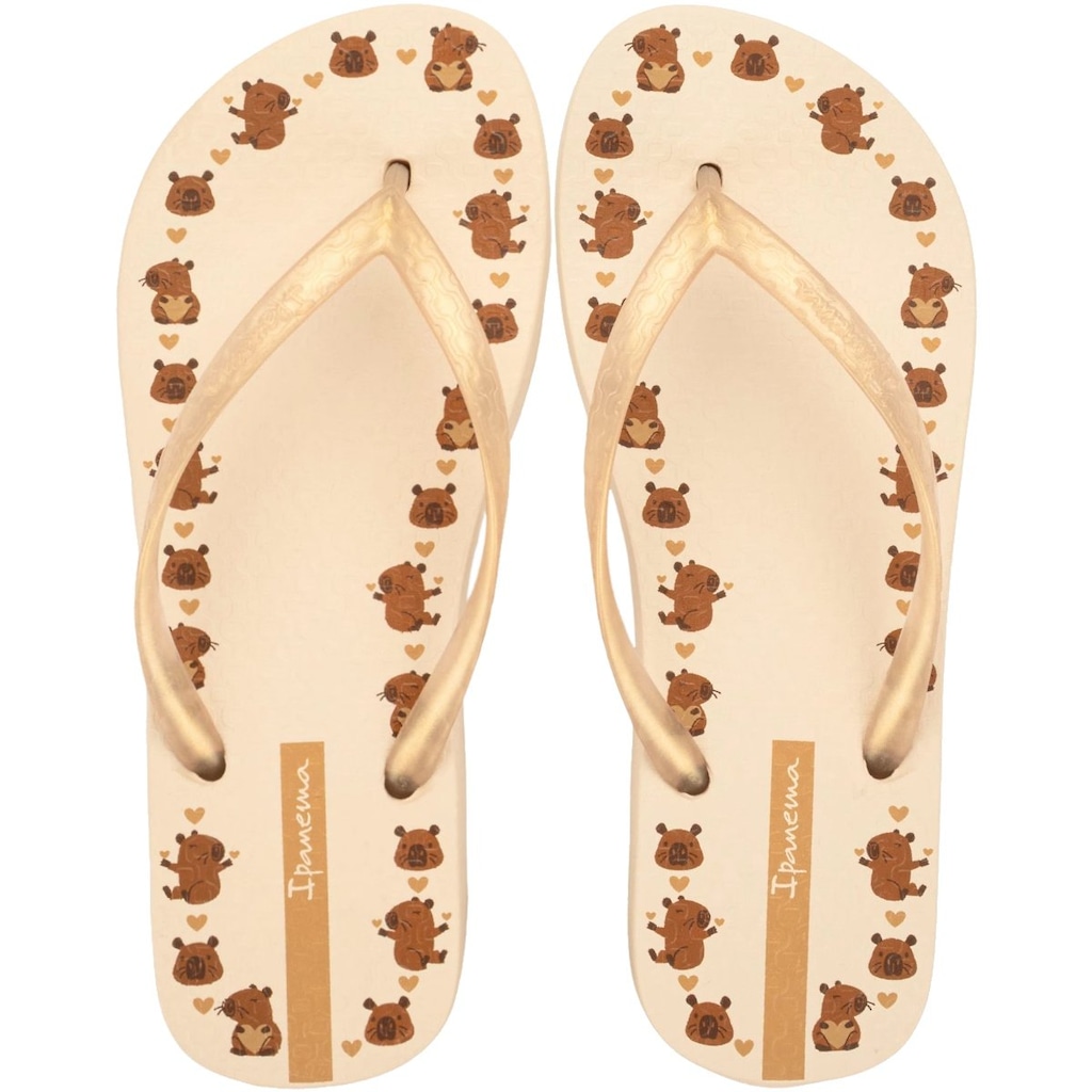 Chinelo de Dedo Ipanema Day - Feminino