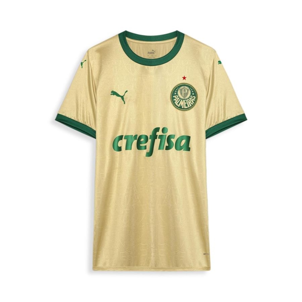 Camisa do Palmeiras Torcedor Third 2024 Puma Masculina