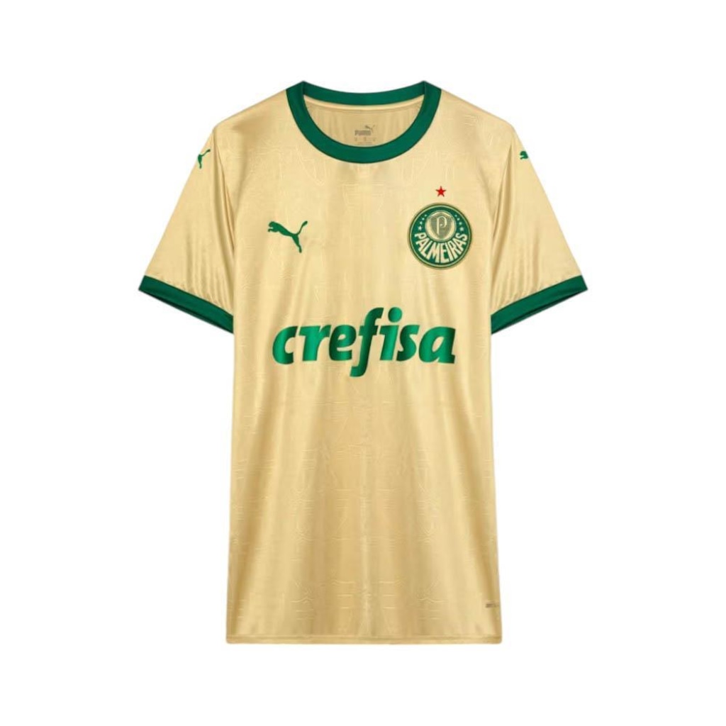 Camisa do Palmeiras Torcedor Third 2024 Puma Masculina
