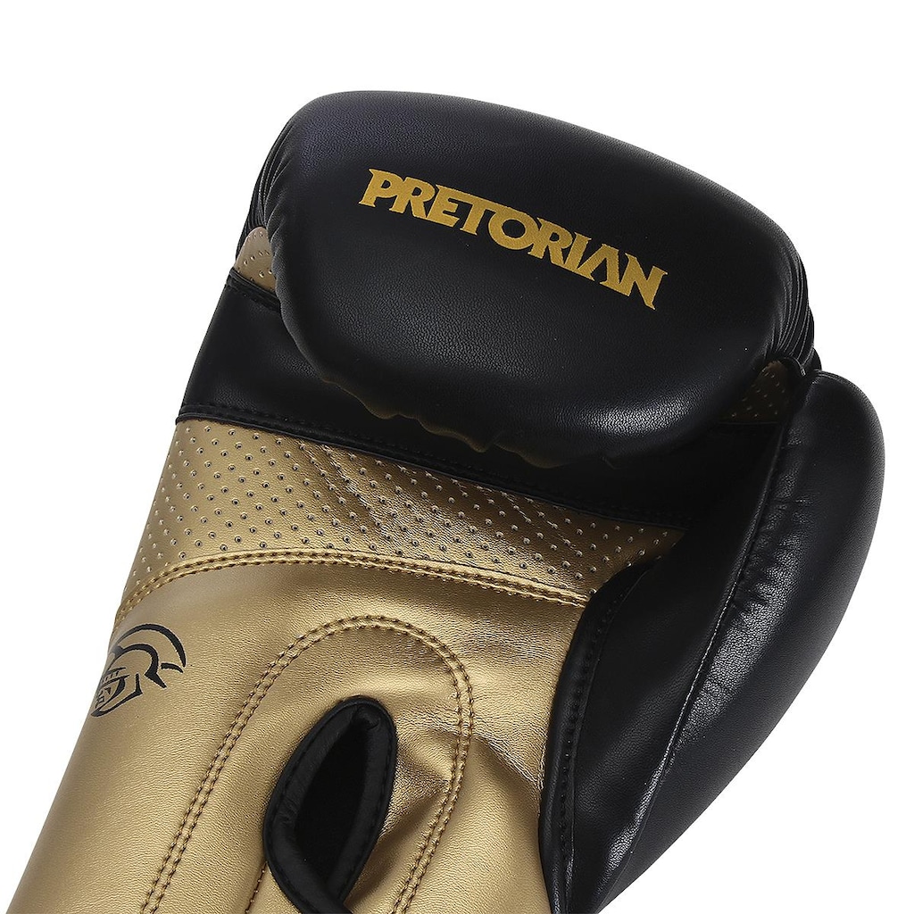 Imagem 3 do produto Kit Luva de Boxe e Muay Thai Elite Pretorian