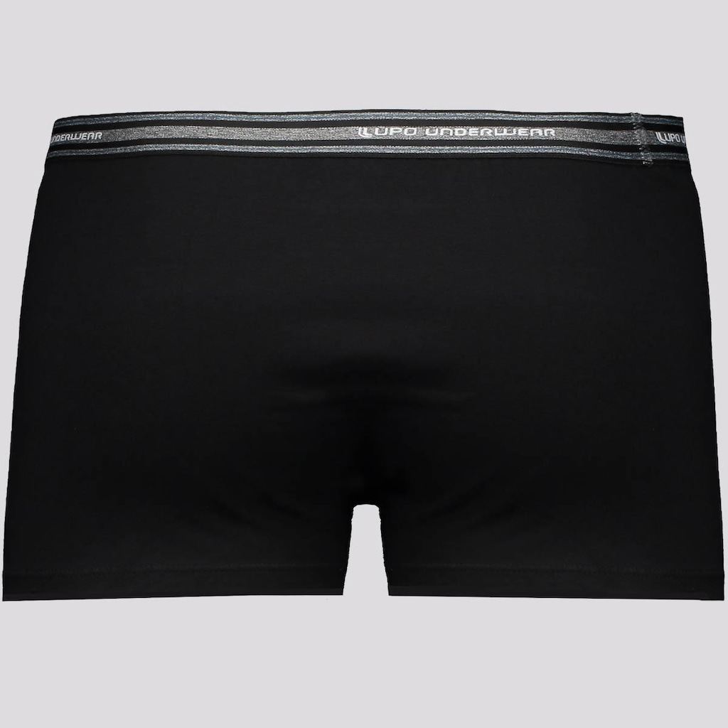 Imagem 2 do produto Cueca Lupo Basic com Elastano Adulto