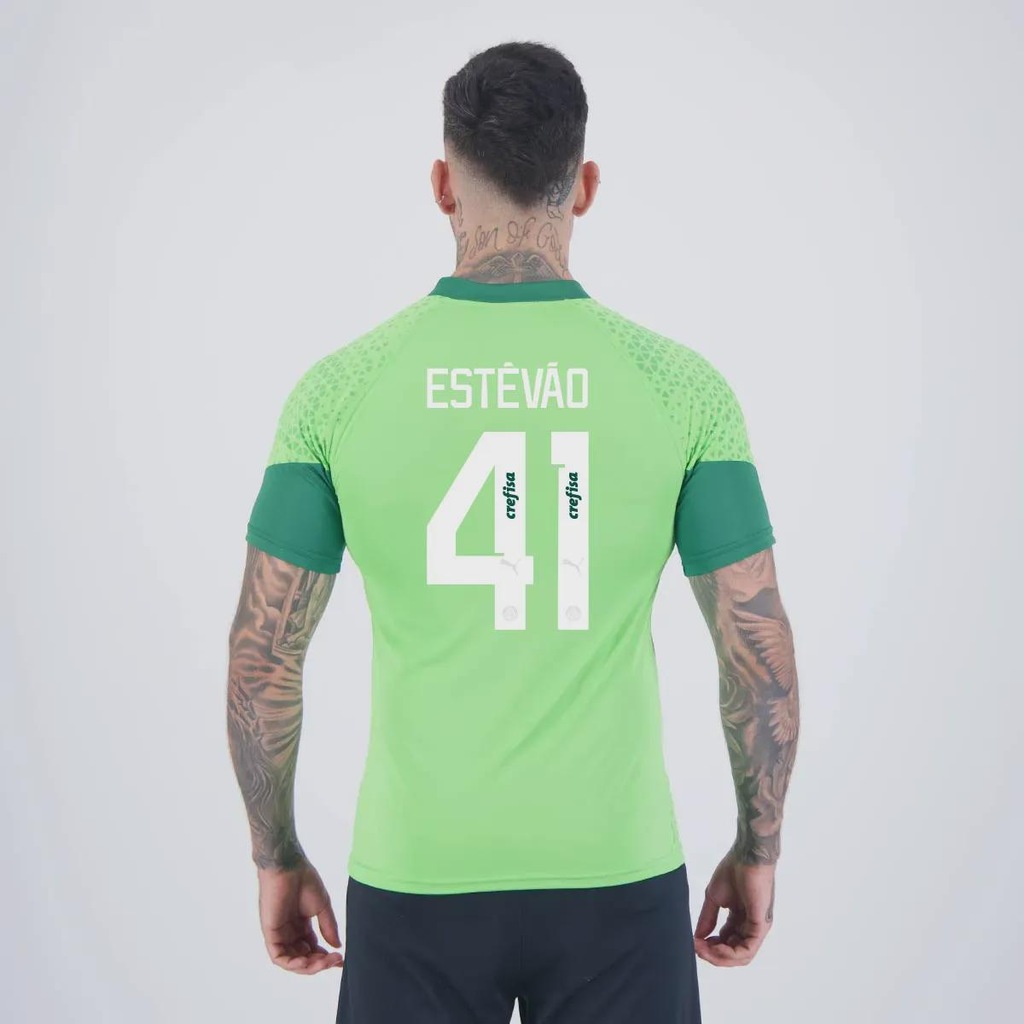 Camisa do Palmeiras Treino 2024 41 Estevão Puma - Masculina