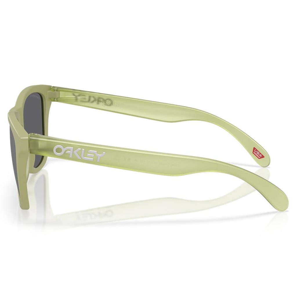 Imagem 2 do produto Óculos de Sol Oakley Frogskins Matte Fern M255 - Unissex