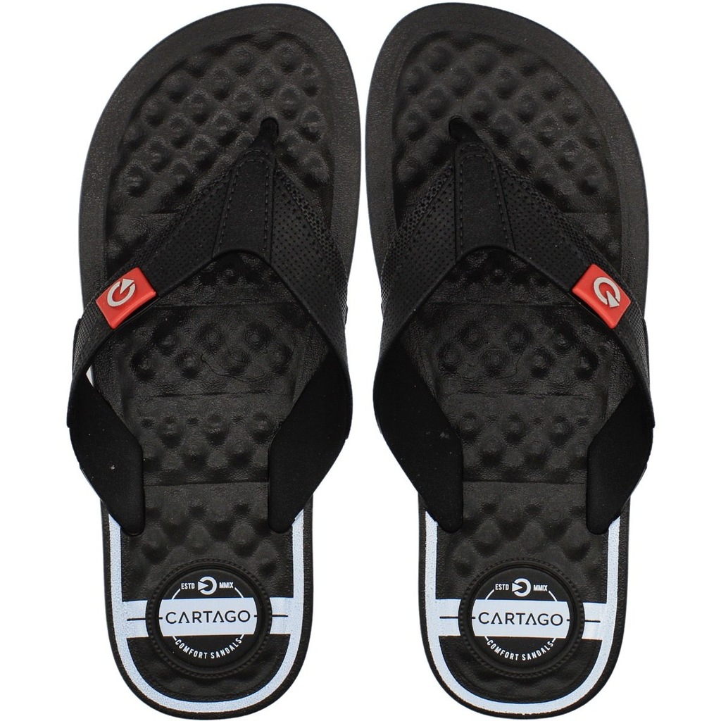 Chinelo Cartago Arizona Masculino