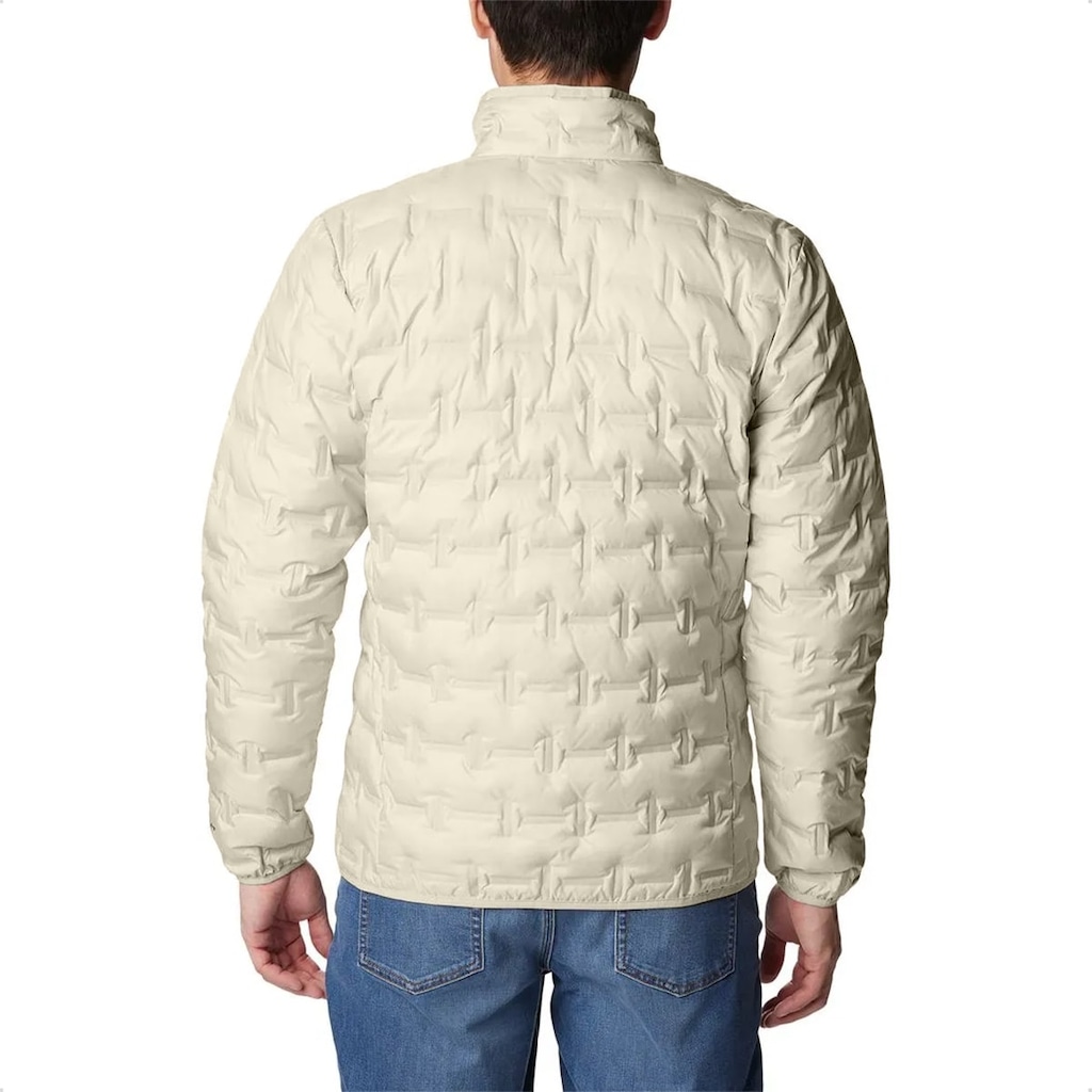 Imagem 2 do produto Jaqueta Columbia Delta Ridge II Down Masculino