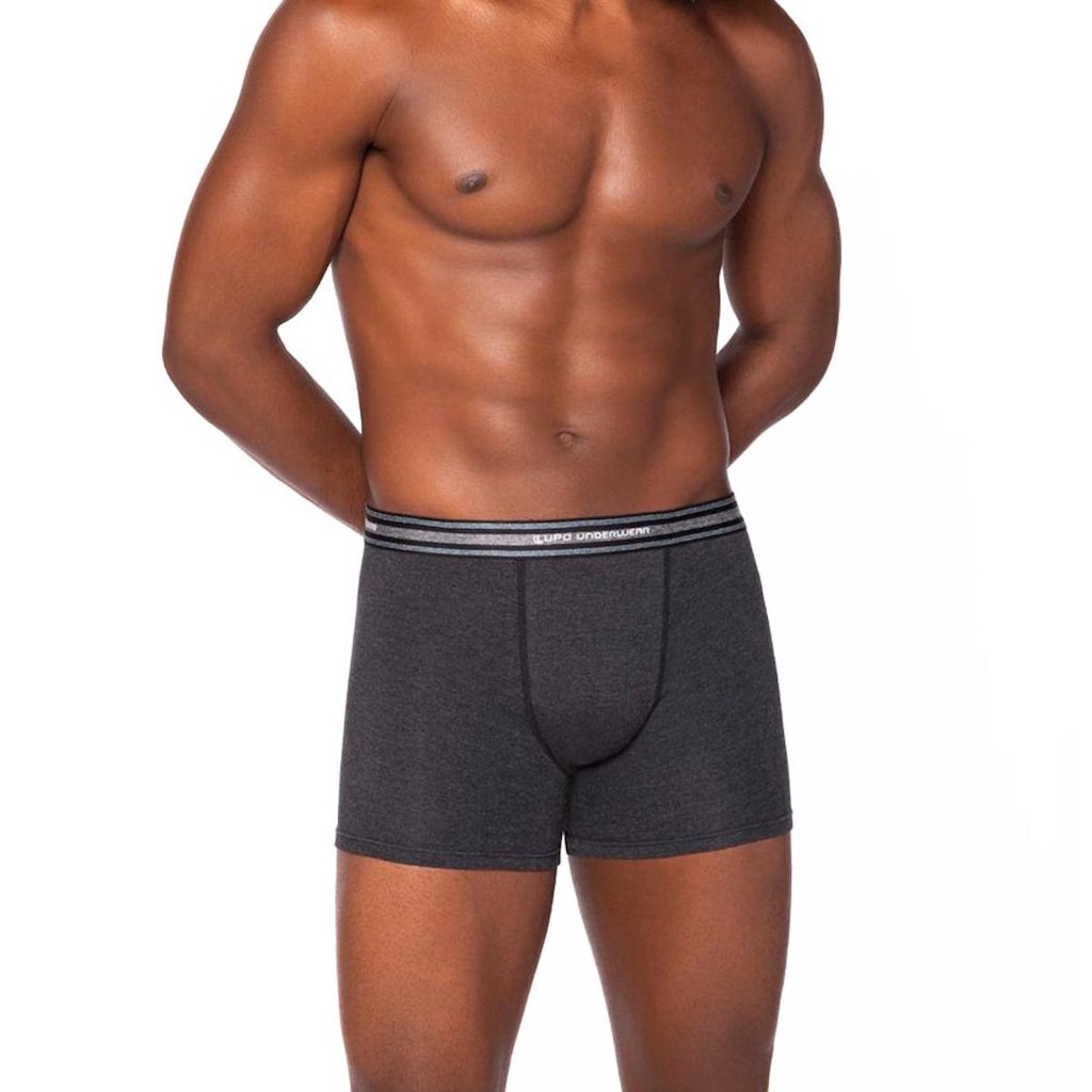 Imagem 3 do produto Kit Cueca Boxer Lupo Com Elastano 2 Peças