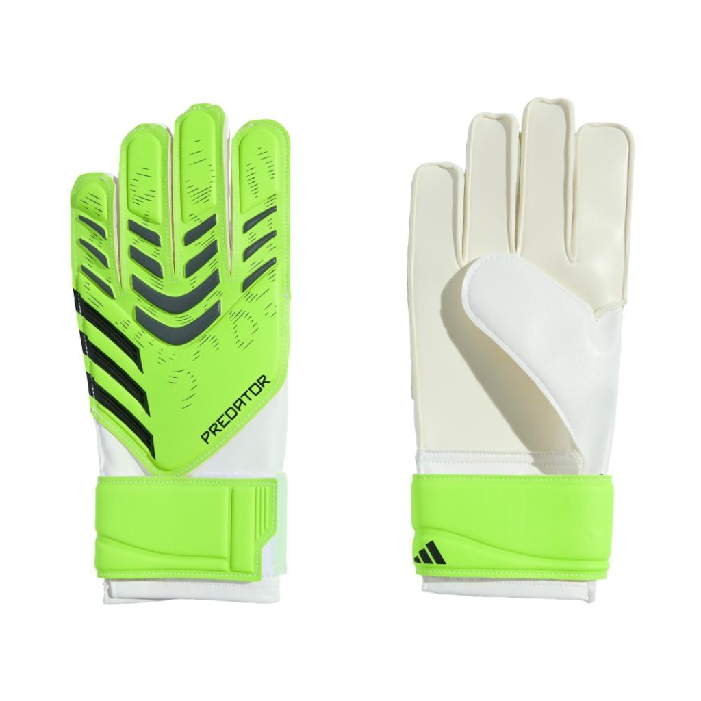 Luvas de Goleiro Infantil adidas Predator Training