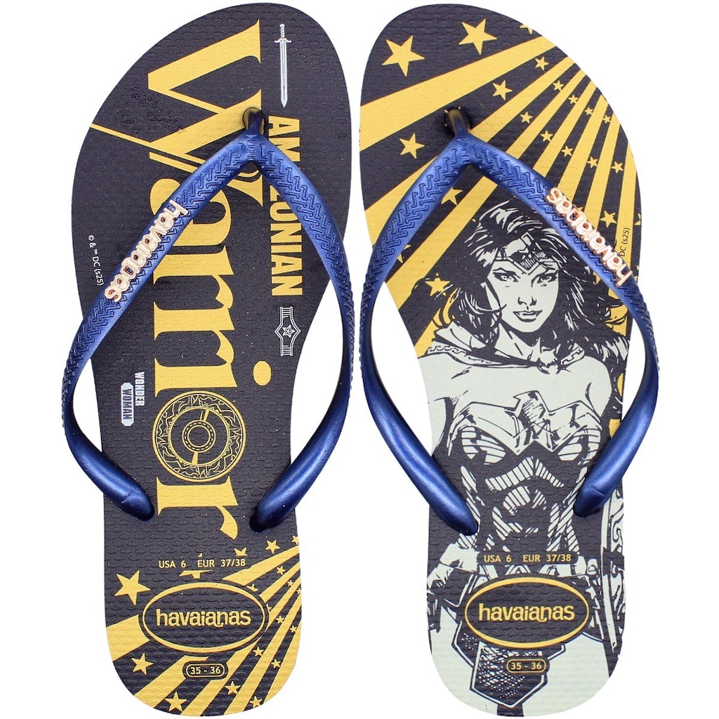 Chinelo Havaianas Warner Classic Feminino