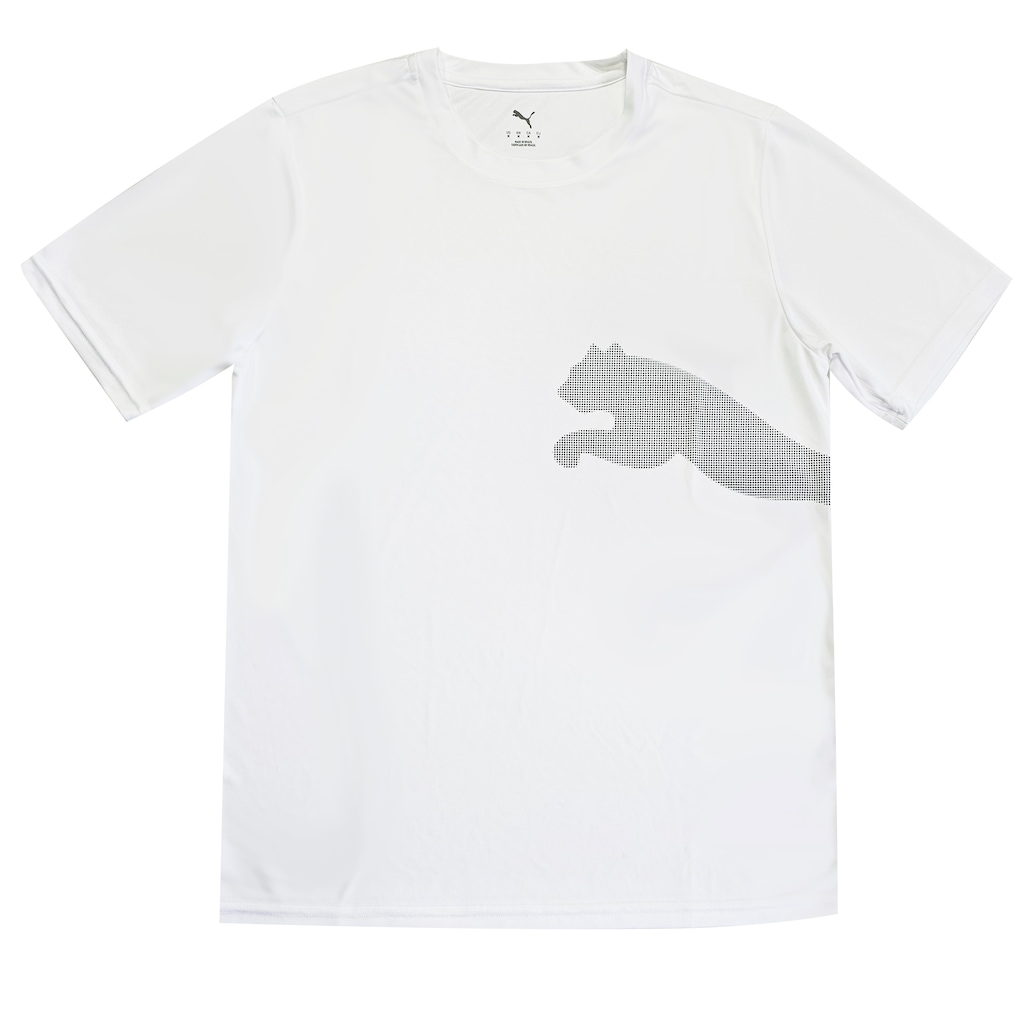 Camiseta Puma Masculina Tad Big Logo Tee DryCEL