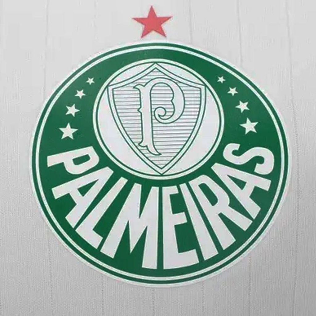 Imagem 3 do produto Camiseta Betel Palmeiras Line Masculina