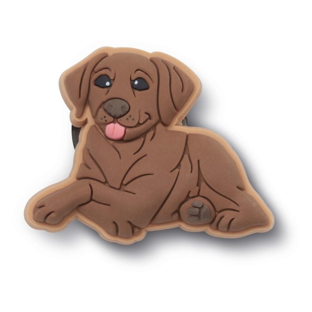 Jibbitz Crocs Filhote Labrador
