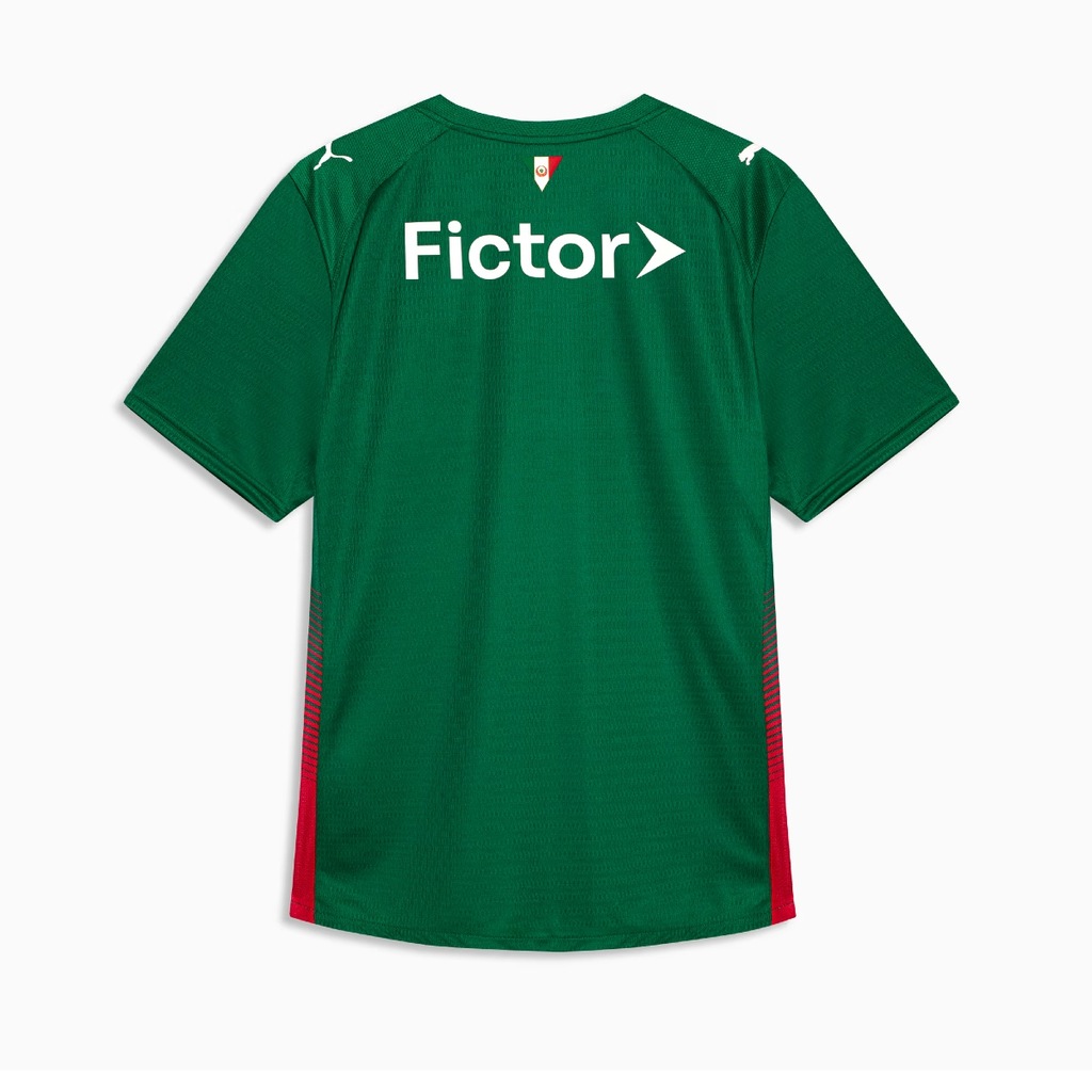 Imagem 3 do produto Camisa do Palmeiras Puma 2627 Uniforme 1 Jogador - Masculina