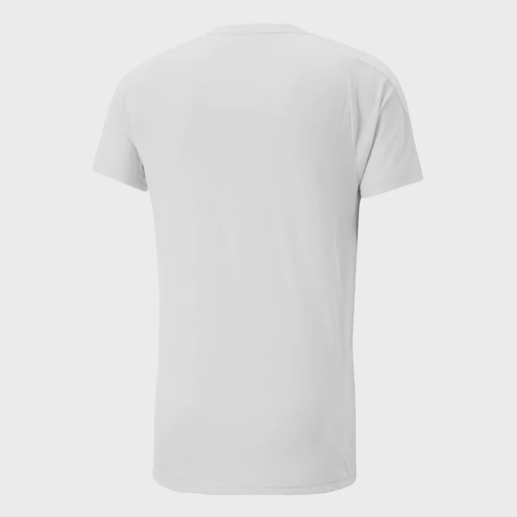 Imagem 2 do produto Camiseta Puma Evostripe Masculina
