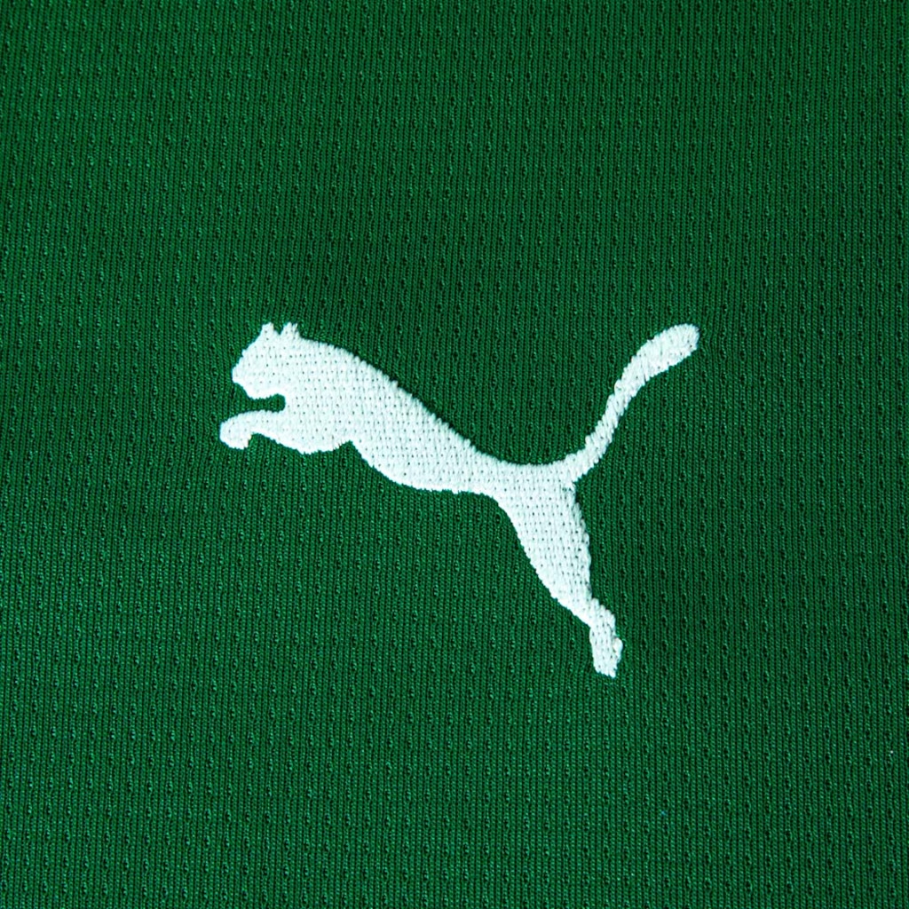 Imagem 4 do produto Camisa Do Palmeiras Torcedor Puma I 2026 Infantil