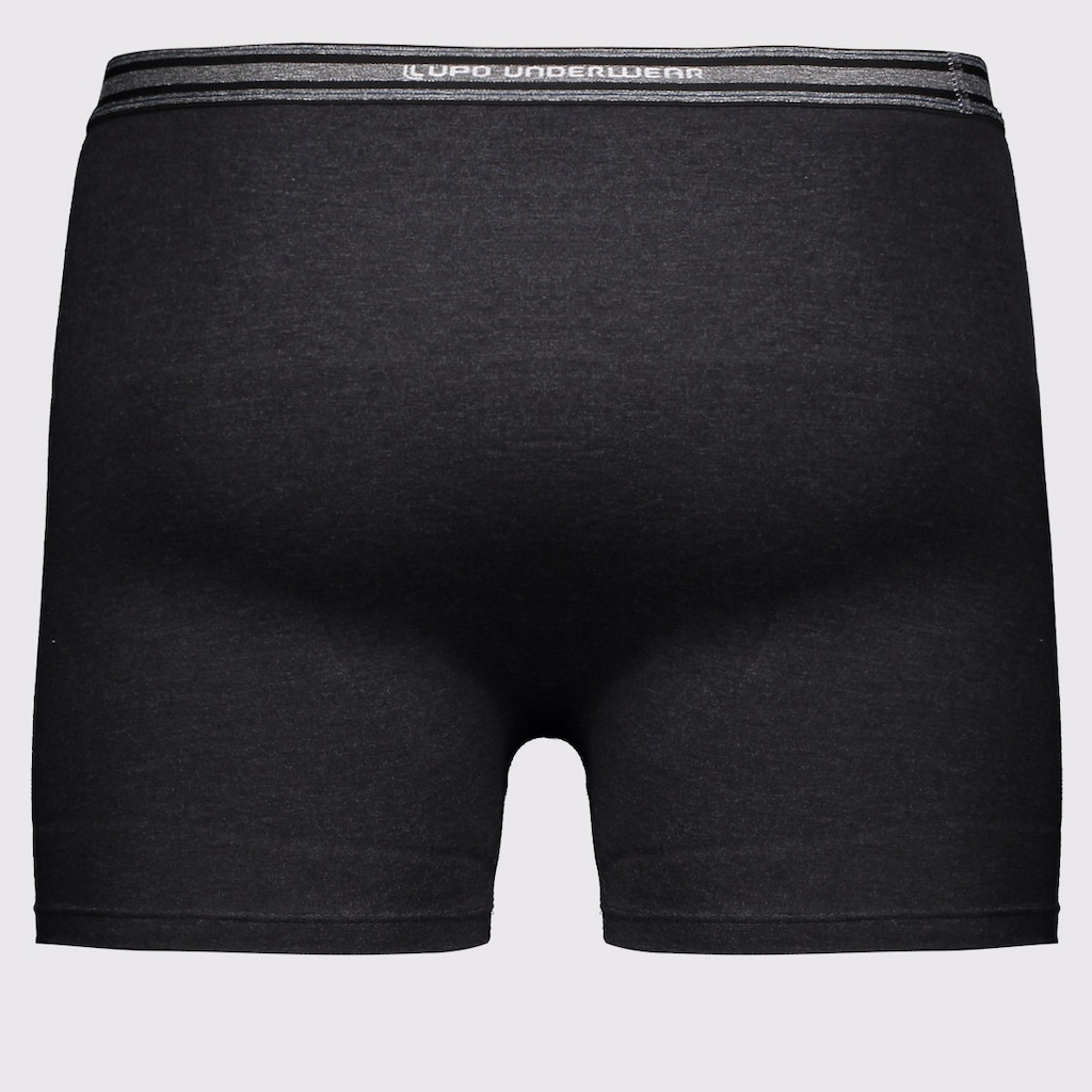 Imagem 3 do produto Kit 2 Cuecas Boxer Lupo Masculina