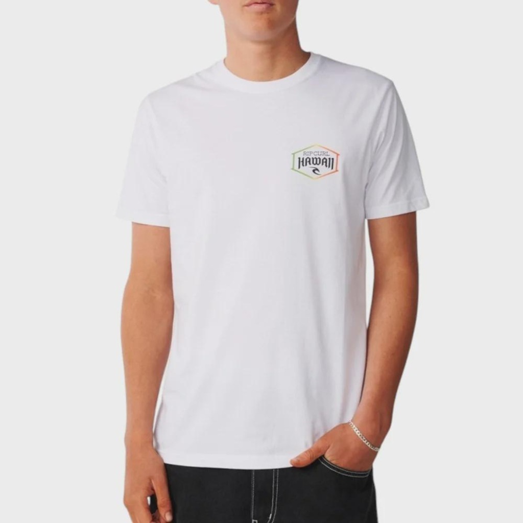 Camiseta Rip Curl Aloha State Lockup - Masculina