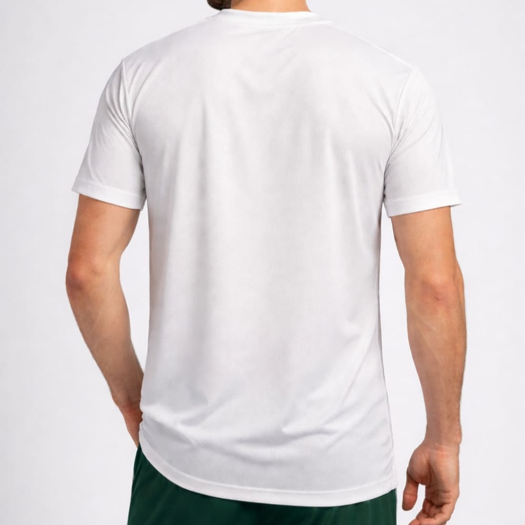 Imagem 2 do produto Camiseta do Palmeiras Betel Home Braziline - Masculina