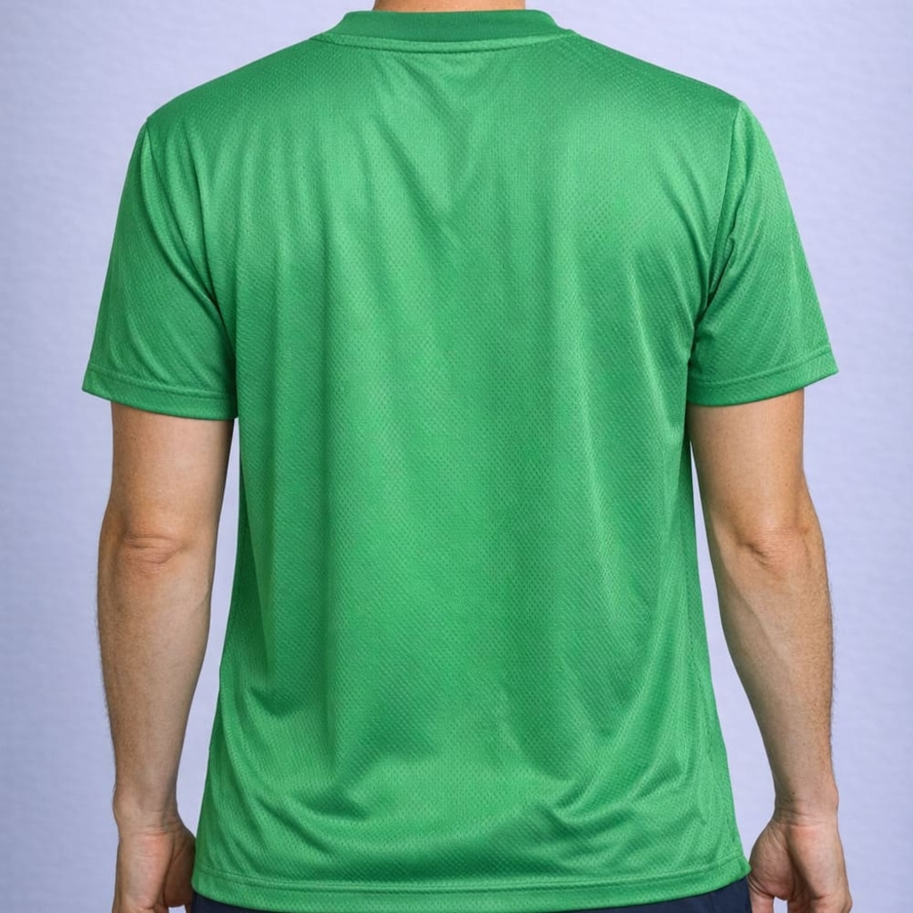 Imagem 2 do produto Camiseta do Palmeiras Home Braziline - Masculina