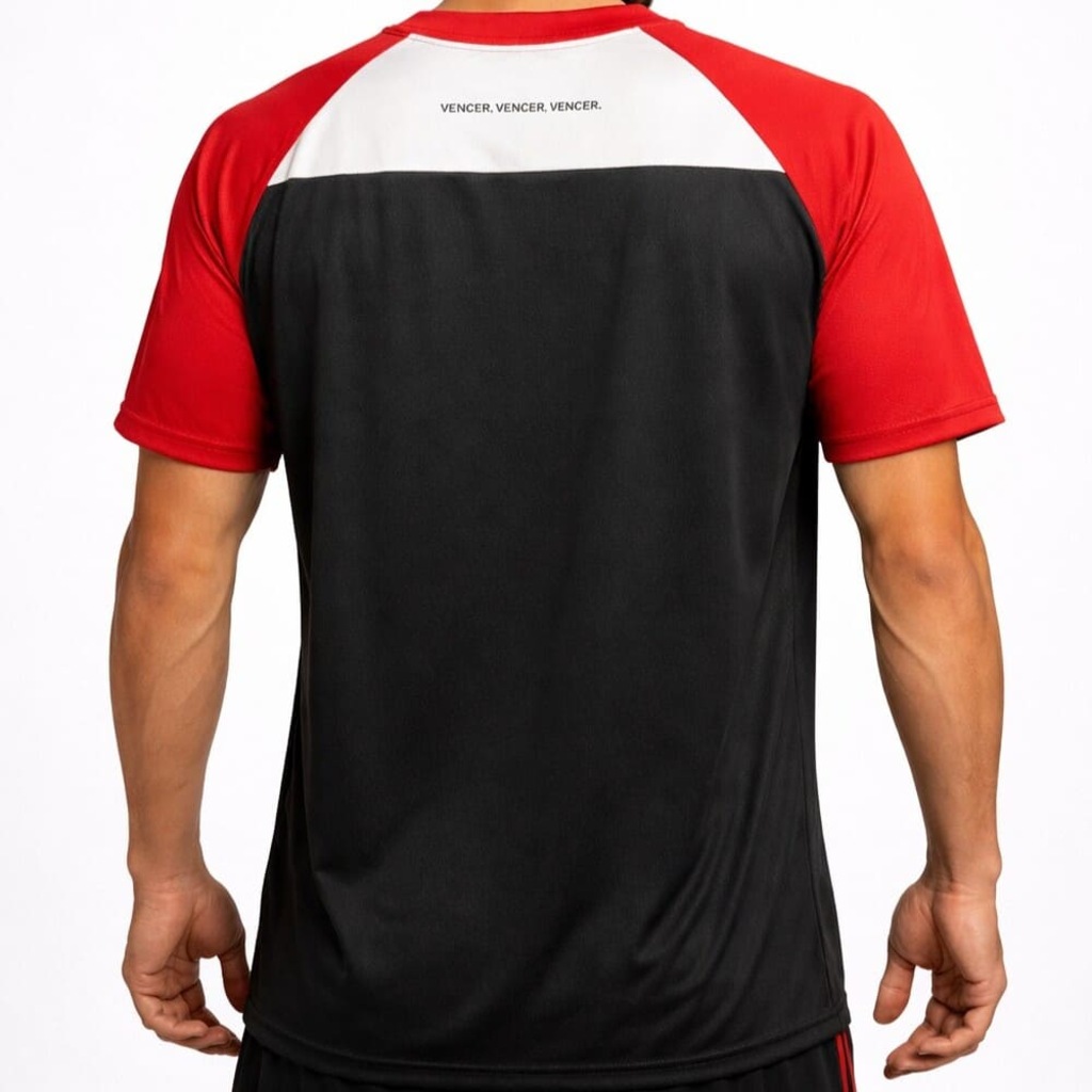 Imagem 2 do produto Camiseta do Flamengo Betel Gavea braziline - Masculina