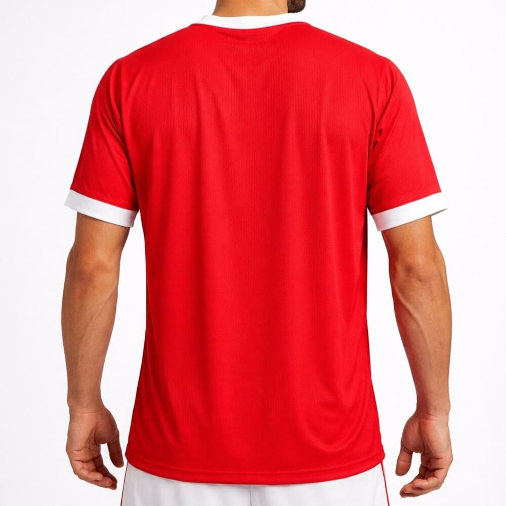 Imagem 2 do produto Camiseta do Internacional Betel Warm - Masculina
