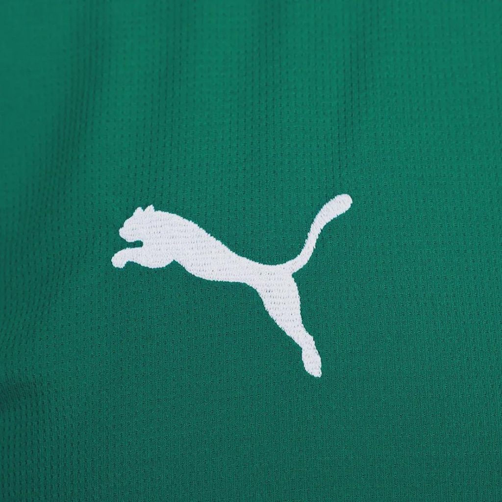 Imagem 4 do produto Camisa do Palmeiras I 26/27 Torcedor Puma Masculina