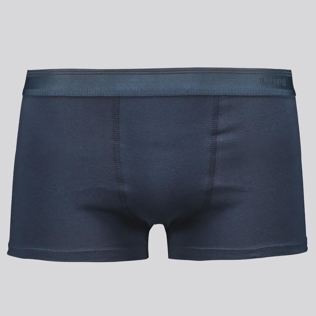 Cueca Sunga Lupo Algodão com Elastano Logo Adulta