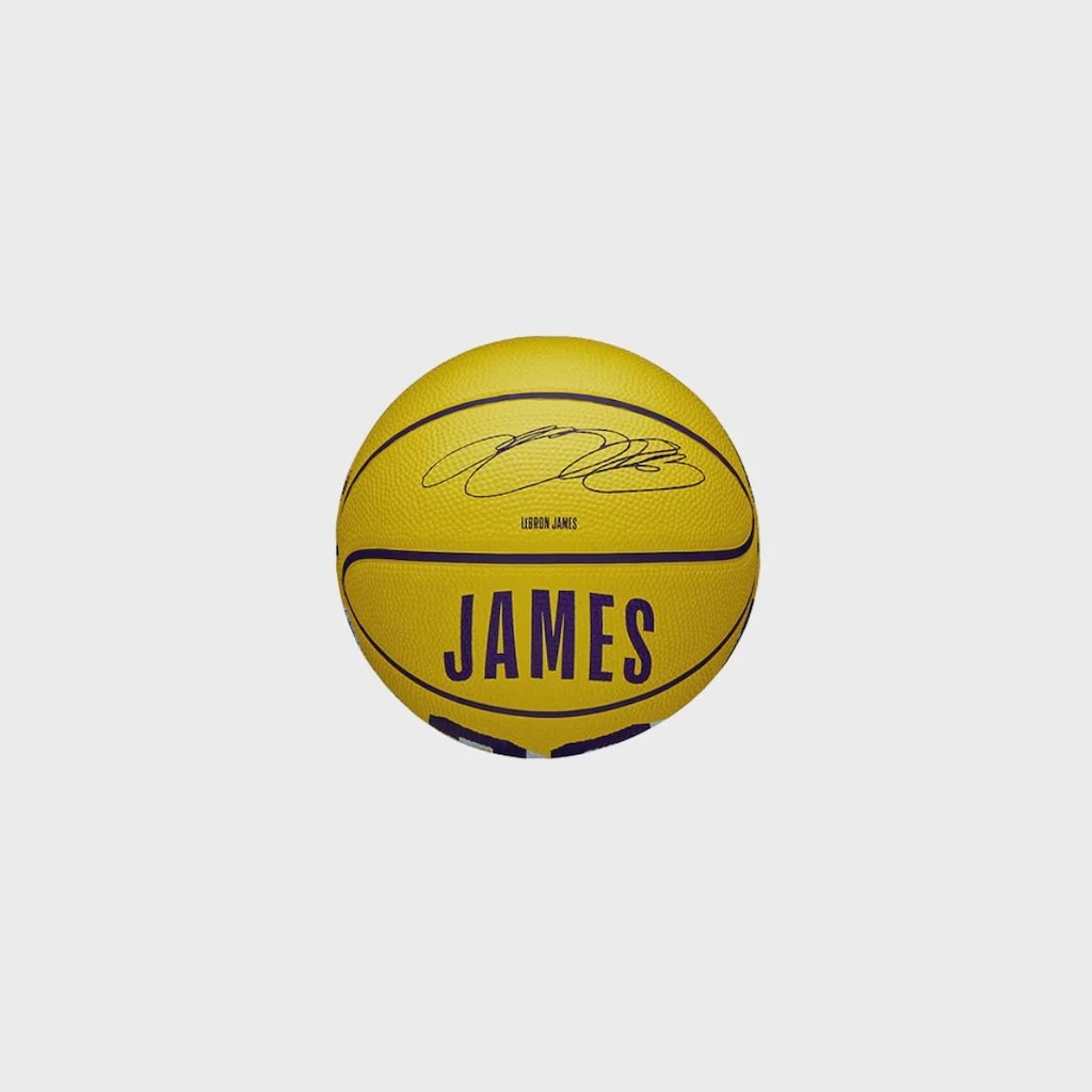Mini Bola de Basquete NBA Icon Lebron James