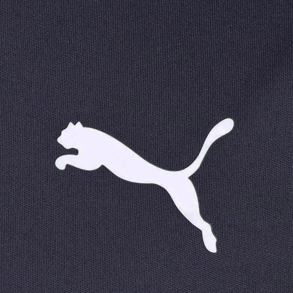 Imagem 3 do produto Camiseta Puma Small Logo Poly Tee DryCELL  - Masculina