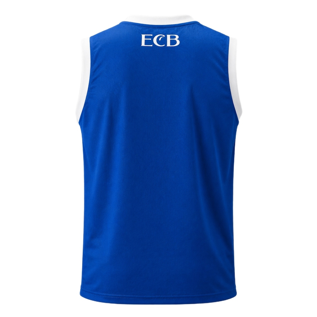 Imagem 3 do produto Camisa Regata do Bahia Tricolor Listrada Natural - Masculina