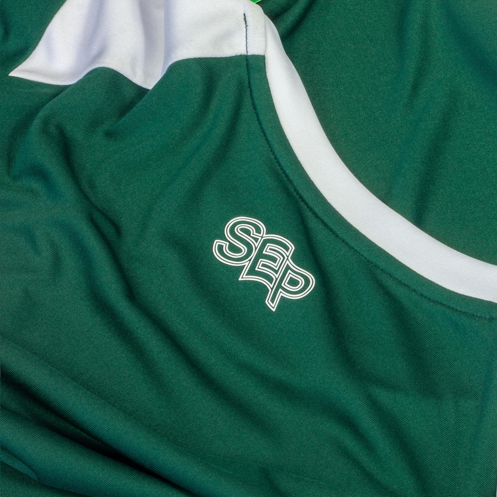 Imagem 5 do produto Camiseta do Palmeiras Alviverde Betel Licenciada Oficial - Masculina