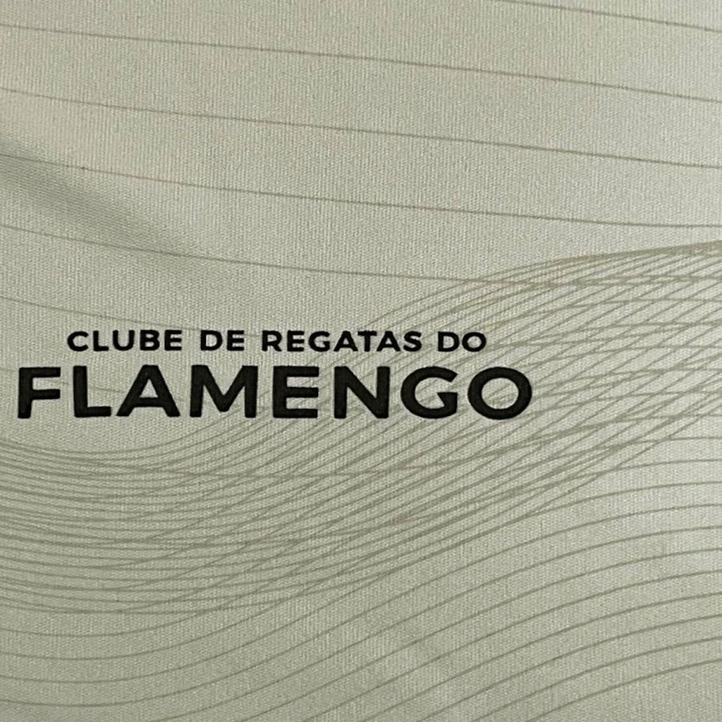 Imagem 4 do produto Camiseta do Flamengo Eco Braziline M/C - Masculino