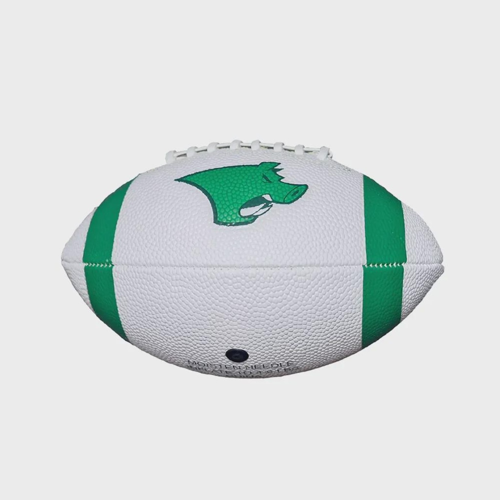 Imagem 2 do produto Bola Futebol Americano Bel Watch Palmeiras Mini