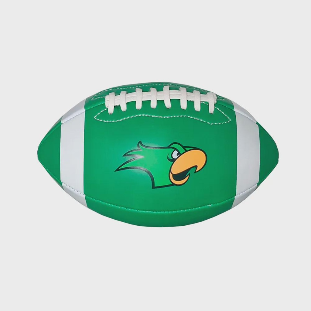 Imagem 2 do produto Bola Futebol Americano Bel Watch Palmeiras Mini