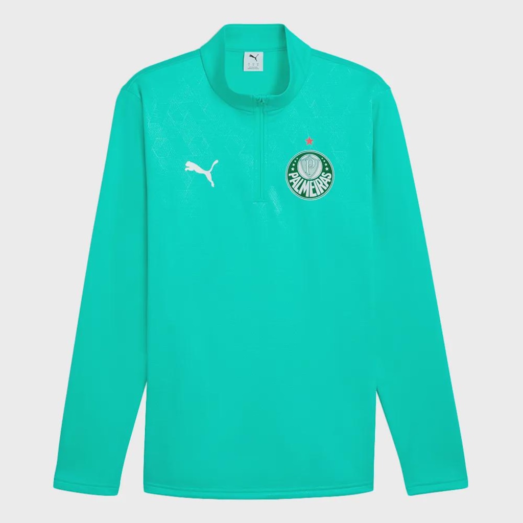 Blusa de Treino Palmeiras Puma Warm SE - Masculina