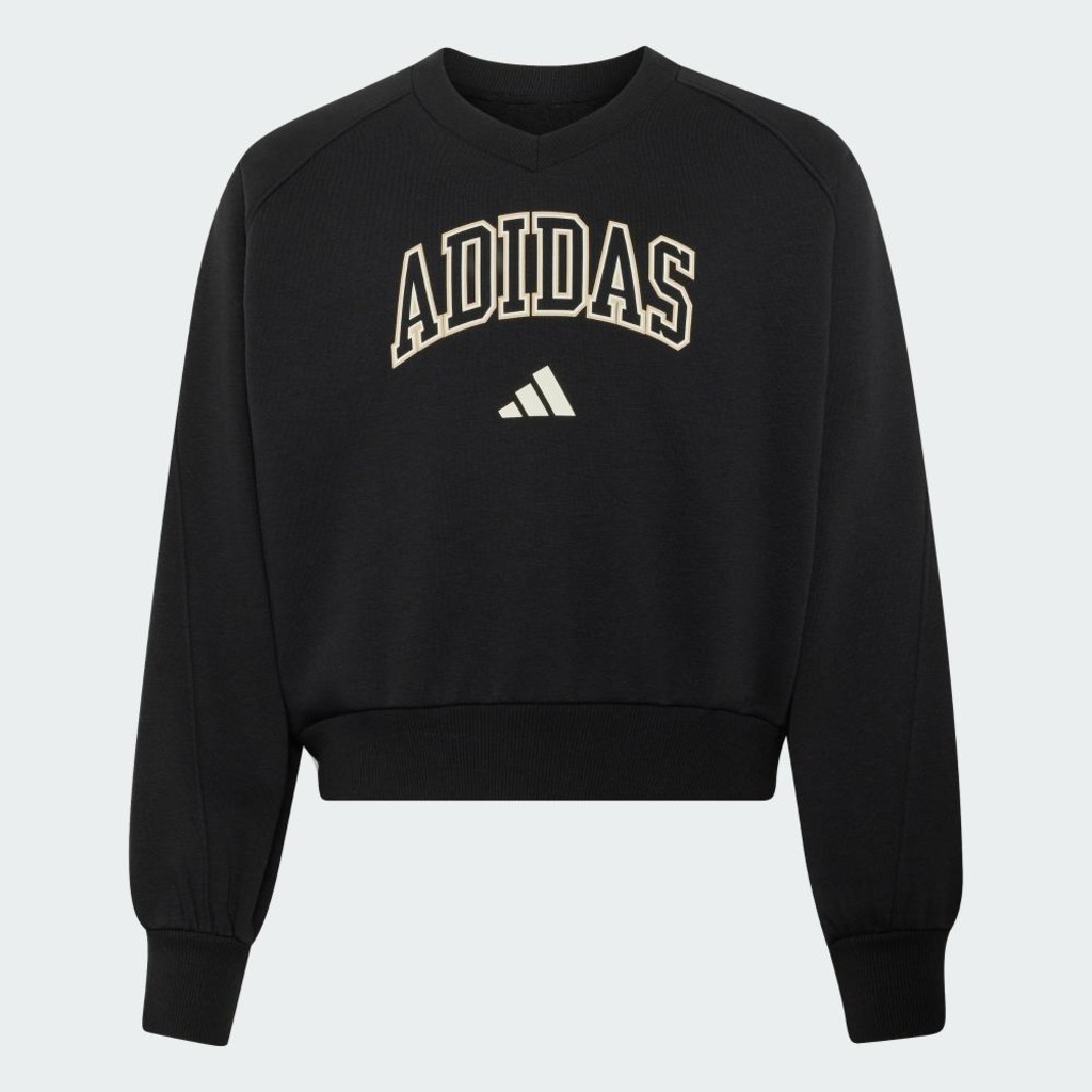 Imagem 2 do produto Blusão de Moletom adidas Seasonals Collegiate Typography Infantil