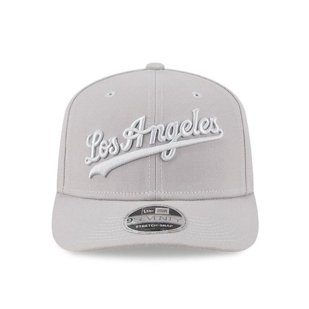 Boné Adulto New Era Tonal Script Los Angeles Dodgers Aba Curva