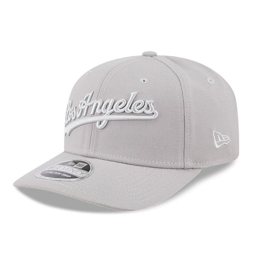 Imagem 2 do produto Boné Adulto New Era Tonal Script Los Angeles Dodgers Aba Curva