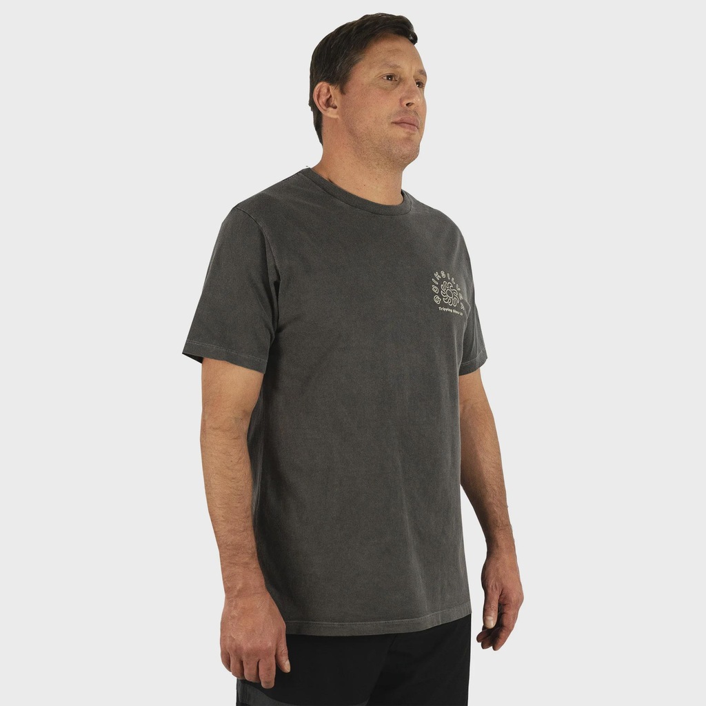 Imagem 3 do produto Camiseta Masculina Quiksilver Sunset Island Dark Gray