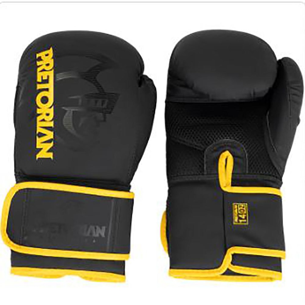Imagem 1 do produto Luva de Boxe Pretorian First FX2 Adulto